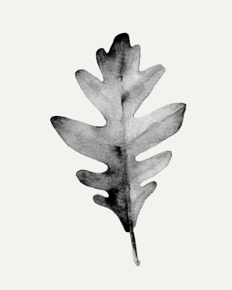 Picture of SMOKY OAK LEAF II