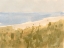 Picture of BRUSHY COAST II