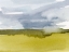 Picture of SPLASHY MEADOW IV