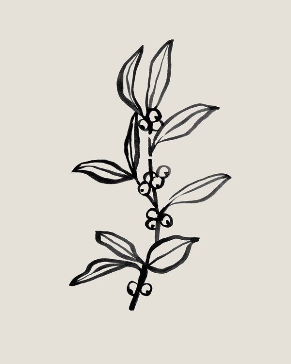Picture of LOOSE HOLLY SKETCH I