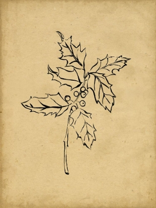 Picture of HOLLY BRANCH I