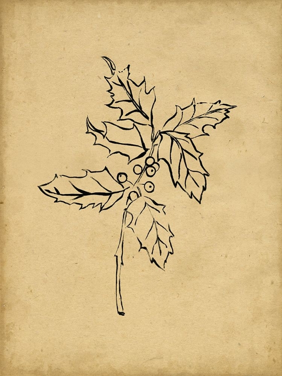 Picture of HOLLY BRANCH I