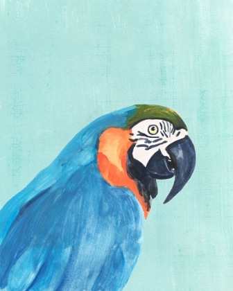 Picture of EXOTIC BIRD ON BLUE I
