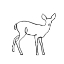 Picture of CRITTER CONTOUR VII