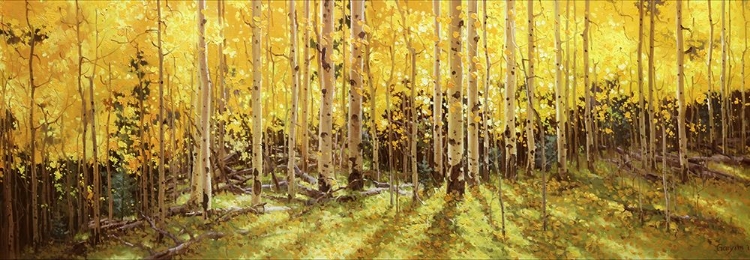 Picture of ASPEN PANORAMA