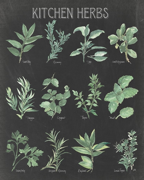 Picture of KITCHEN HERB CHART ON BLACK I