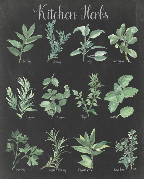 Picture of KITCHEN HERB CHART ON BLACK II