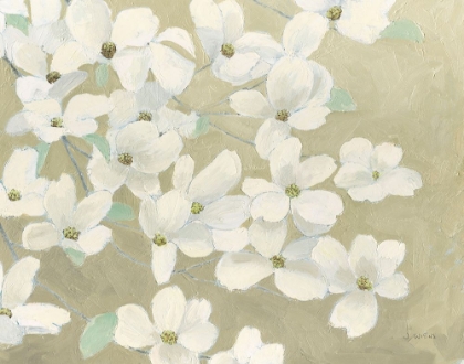 Picture of DOGWOOD DELIGHT
