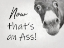 Picture of ASS