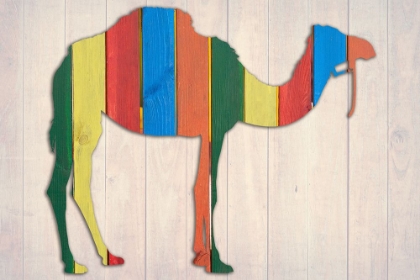 Picture of CAMEL 2