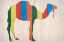 Picture of CAMEL 2