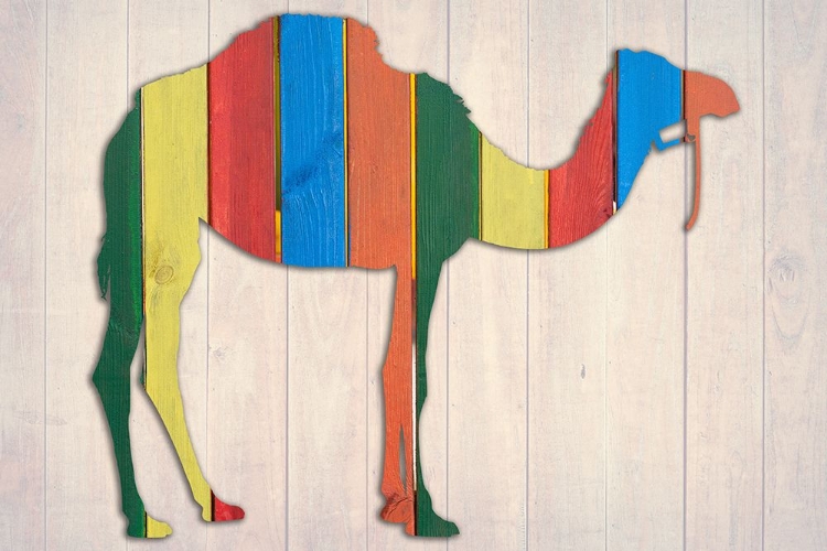 Picture of CAMEL 2