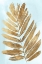 Picture of GOLDEN FERN II