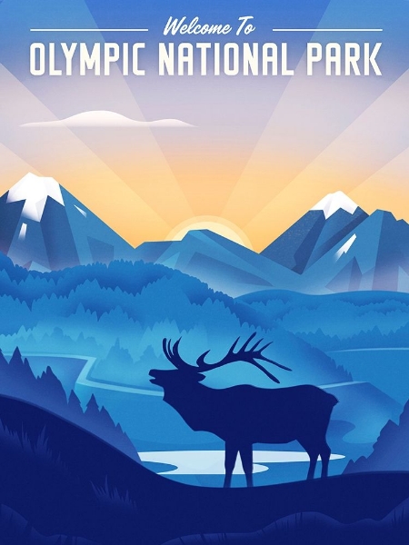 Picture of OLYMPIC NATIONAL PARK - ELK
