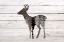 Picture of DEER 2