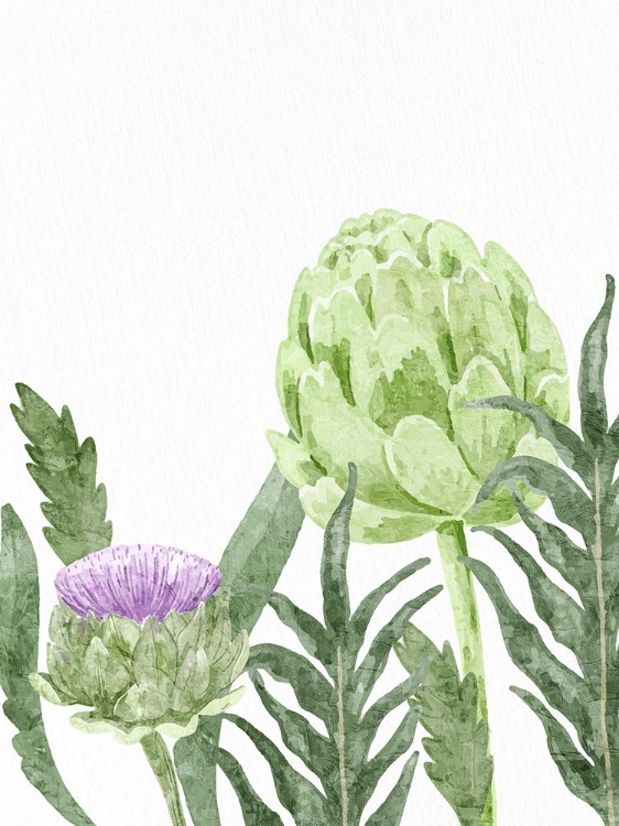 Picture of WATERCOLOR ARTICHOKE 1