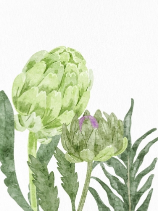 Picture of WATERCOLOR ARTICHOKE 2