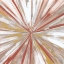 Picture of HOT SPIN 2
