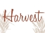 Picture of HARVEST