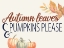 Picture of AUTUMN LEAVES