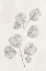 Picture of SPOTTED BOTANICAL 3