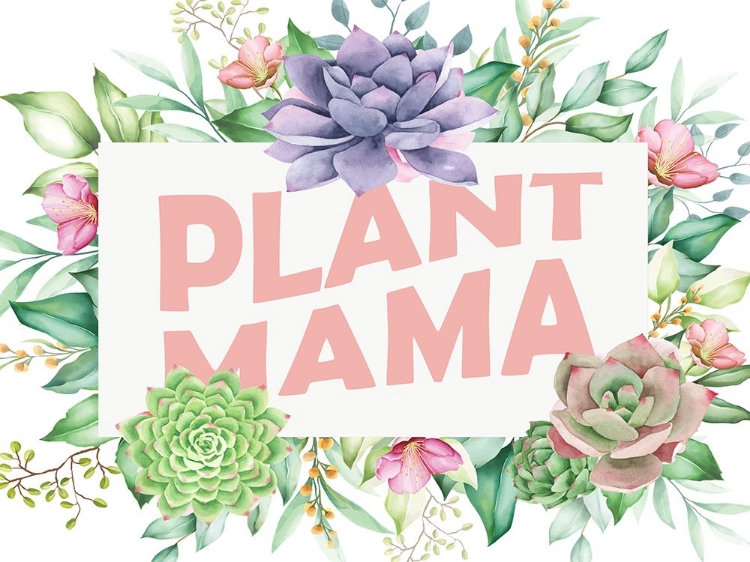 Picture of PLANT MAMA