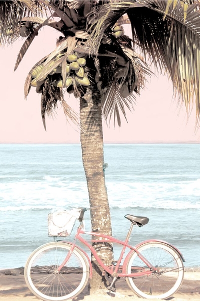 Picture of PEACEFUL BEACH RIDE