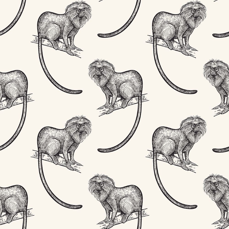 Picture of MONKEY PATTERN