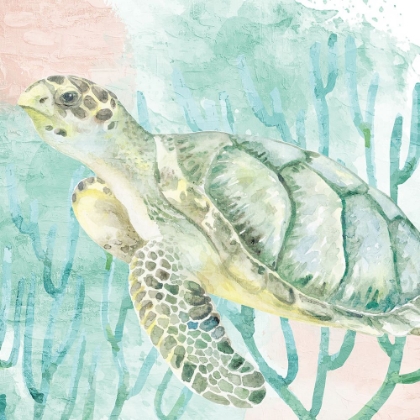 Picture of SEA TURTLE SWIM