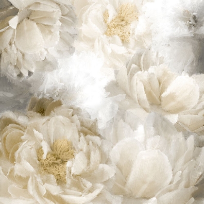 Picture of PEONY ABSTRACT