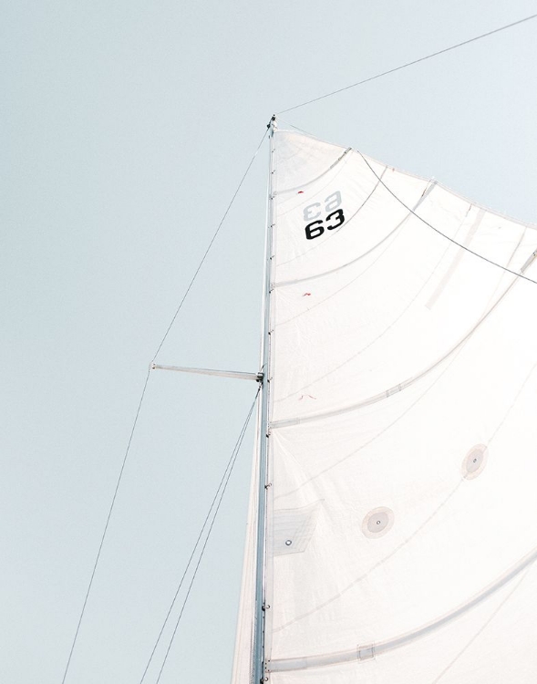 Picture of SAILBOAT