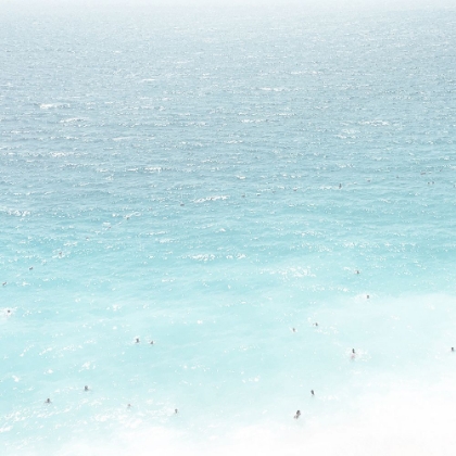 Picture of OCEAN LIFE 1