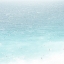 Picture of OCEAN LIFE 1