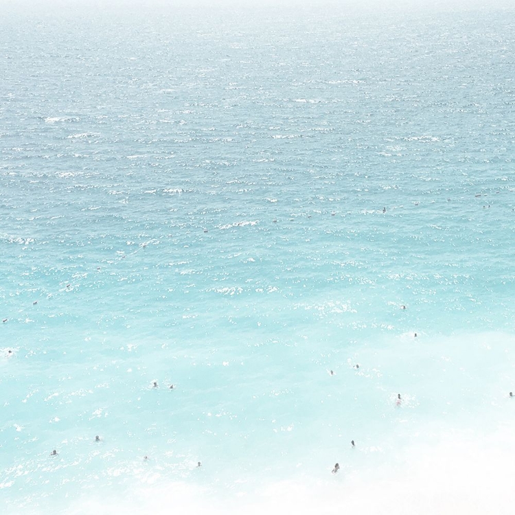 Picture of OCEAN LIFE 1