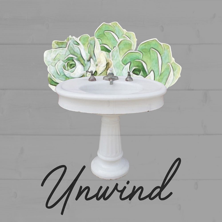 Picture of UNWIND SUCCULENT