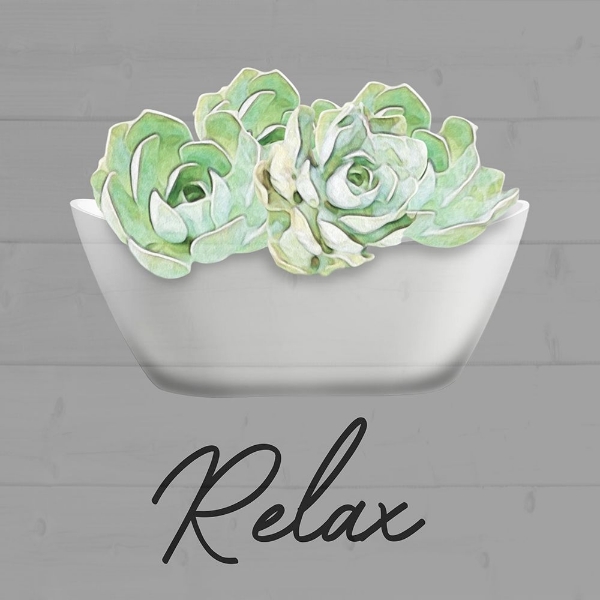 Picture of RELAXED SUCCULENT
