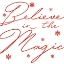 Picture of BELIEVE IN MAGIC