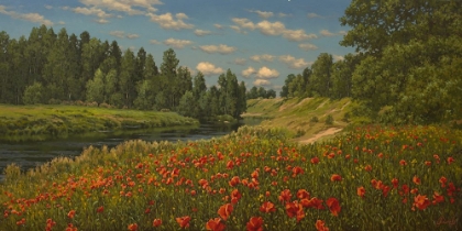 Picture of POPPIES BY THE RIVER