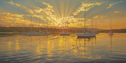 Picture of SAILS IN HARBOUR BY THE SUNSET