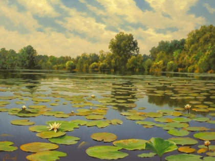 Picture of WATER LILIES ON THE RIVER IV