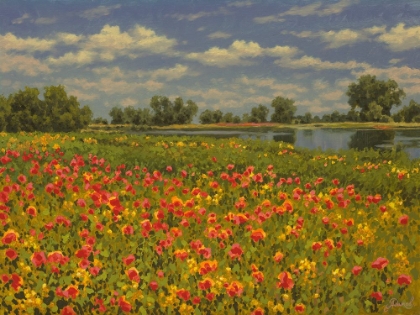 Picture of POPPIES BY THE RIVER II