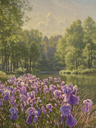 Picture of PURPLE IRIS BY THE RIVER