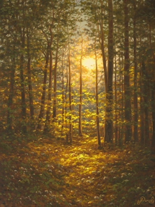 Picture of SUNBEAMS THROUGH THE FOREST