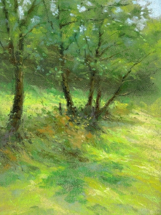 Picture of HEDGEROW TREES