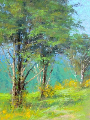 Picture of TREES IN SPRING