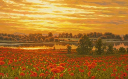 Picture of RED POPPY FIELD BY THE SUNSET