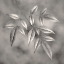 Picture of BOTANICAL STUDY NO. 4