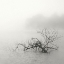 Picture of ZEN LAKE