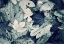 Picture of FOREST FLOOR