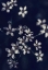 Picture of SMALL FLOWERS